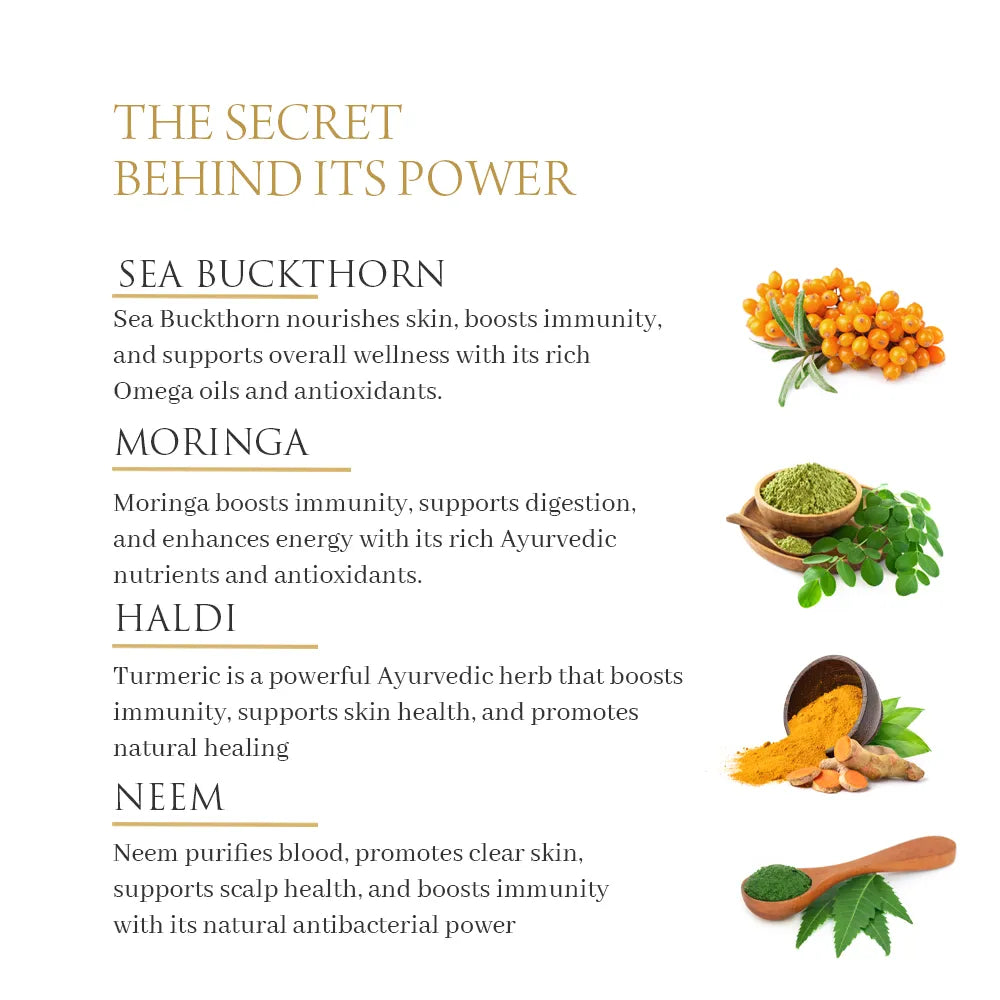 Sea buckthorn Immunity Booster Nabhi Oil